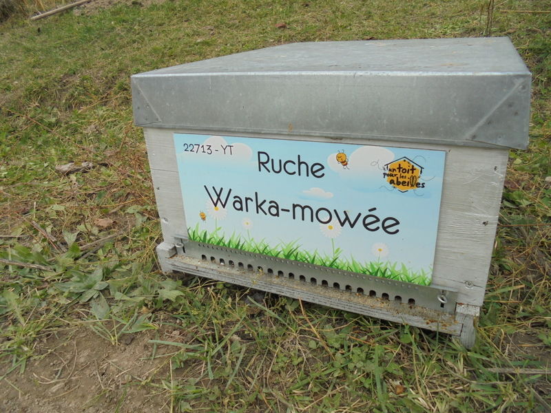 La ruche Warka-mowée