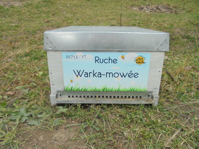 La ruche Warka-mowée