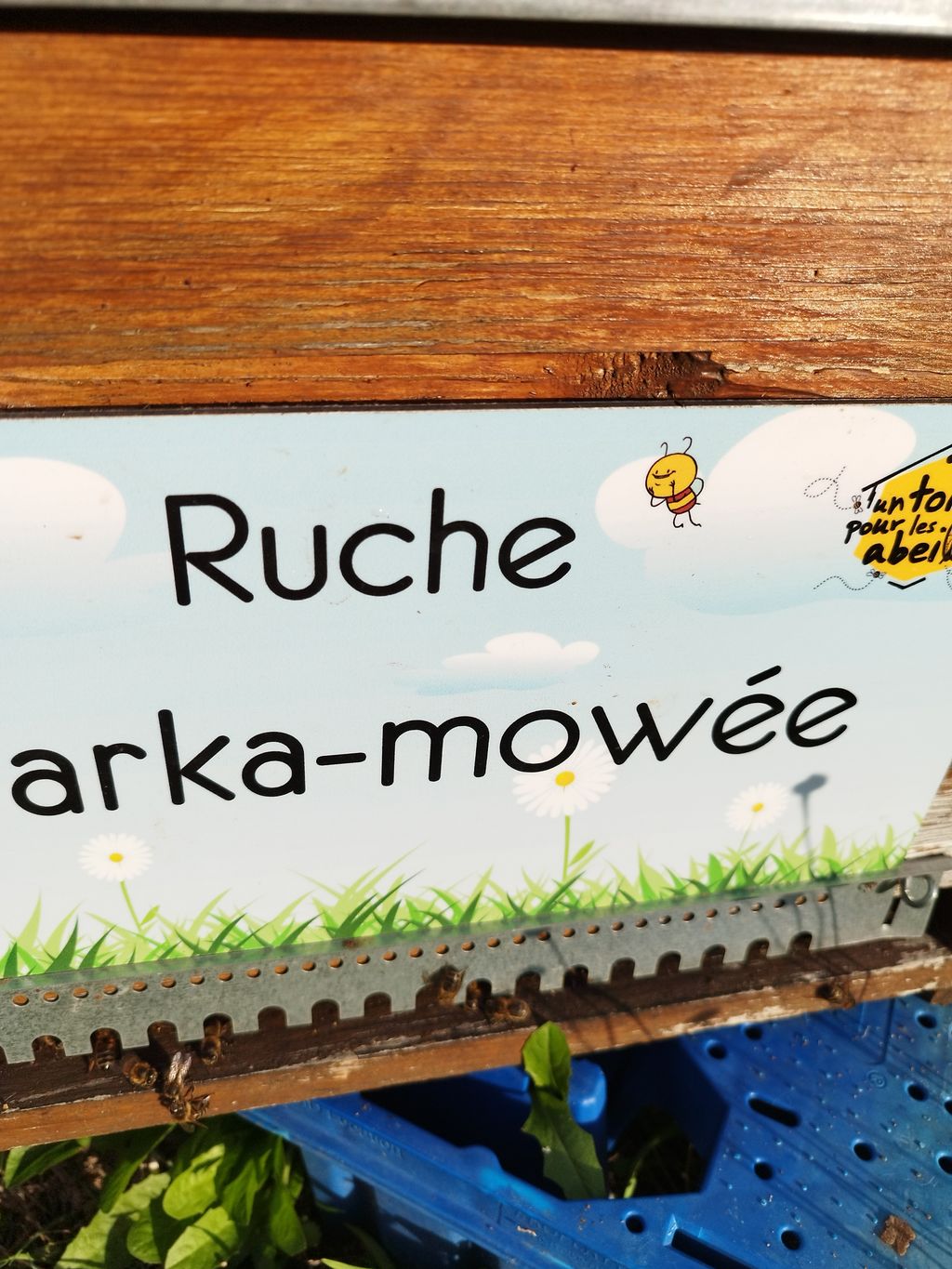 La ruche Warka-mowée