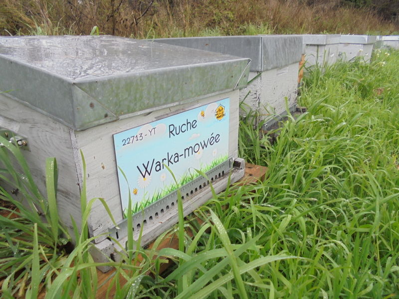 La ruche Warka-mowée