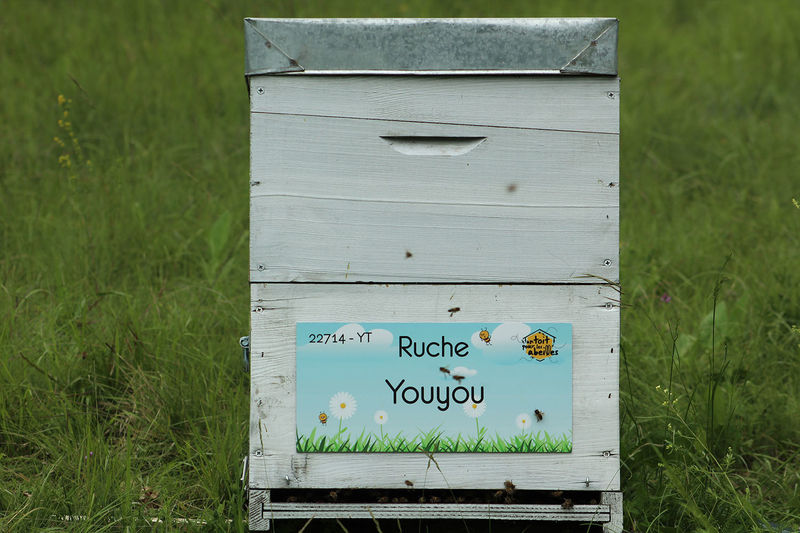 La ruche Youyou