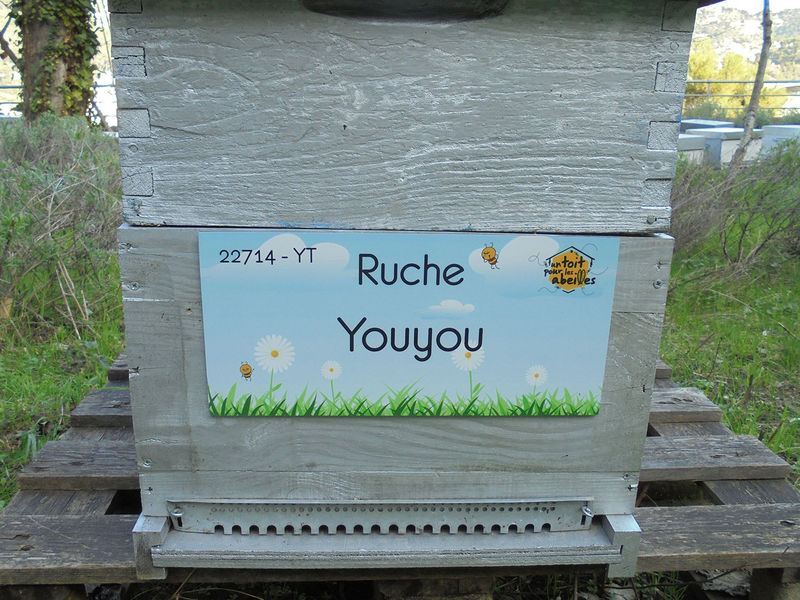 La ruche