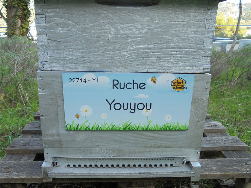 La ruche Youyou