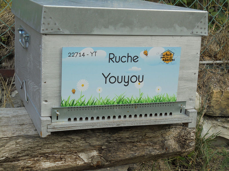 La ruche Youyou