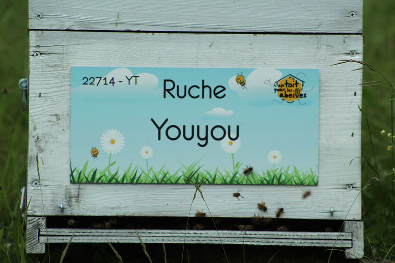 La ruche Youyou