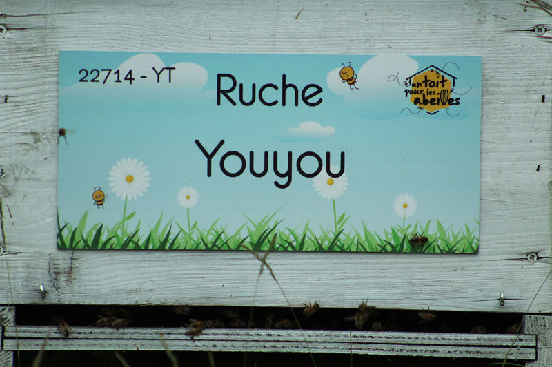 La ruche Youyou