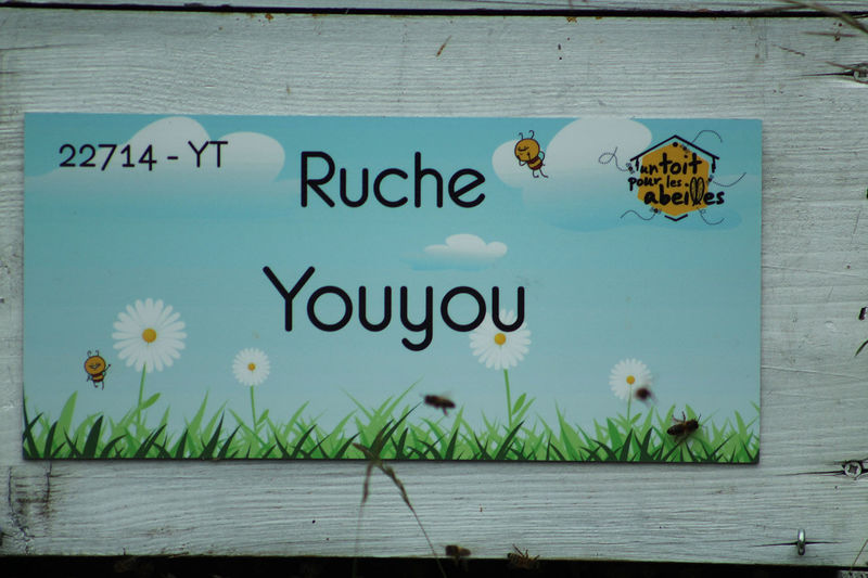 La ruche Youyou