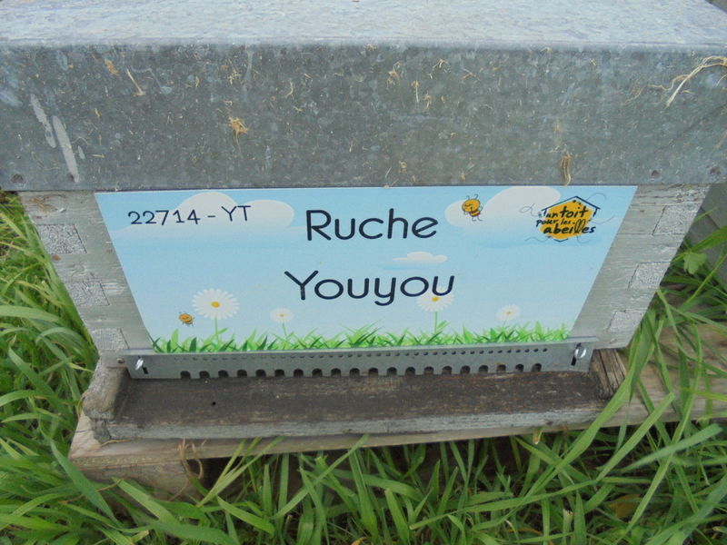 La ruche Youyou