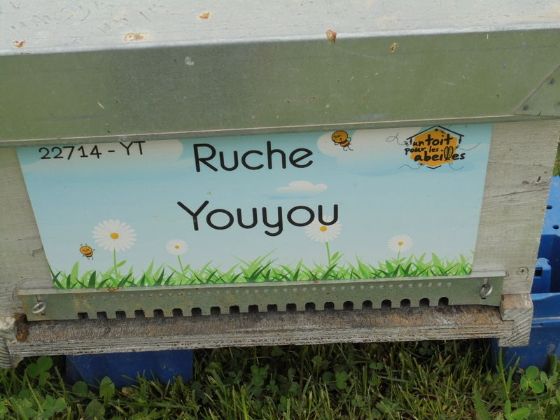 La ruche Youyou