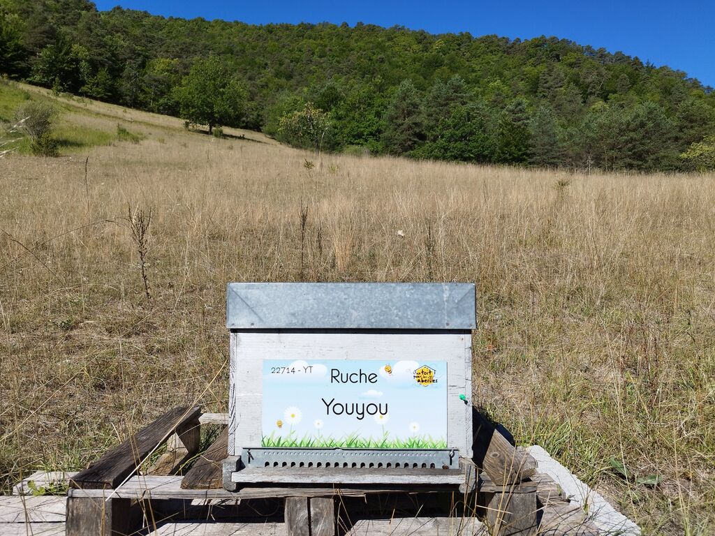 La ruche Youyou