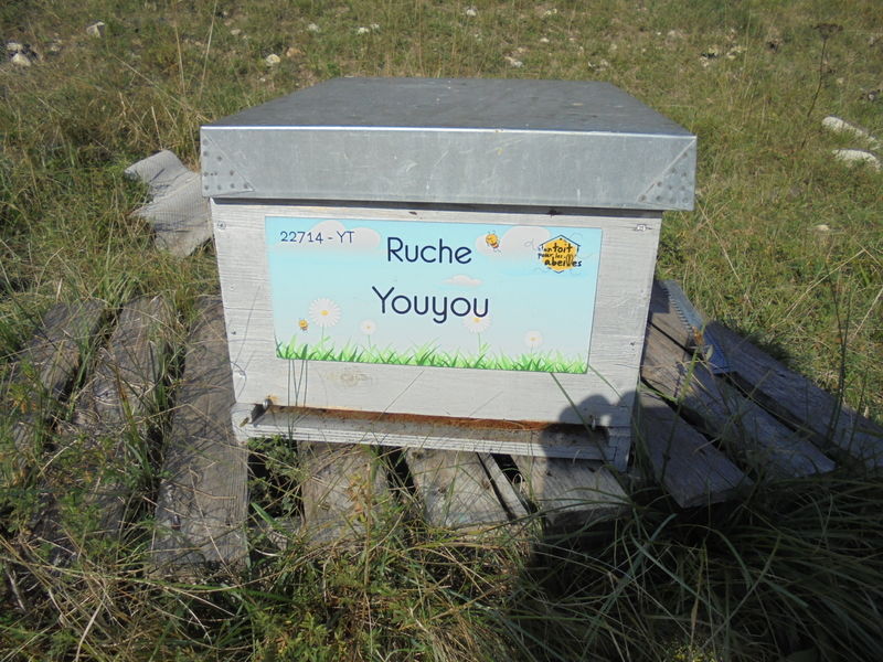 La ruche Youyou