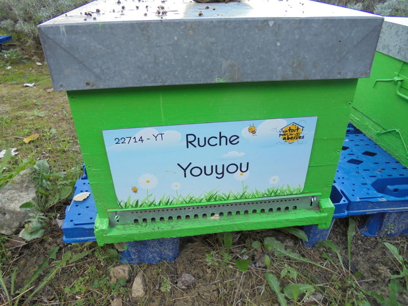La ruche Youyou