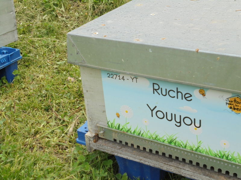 La ruche Youyou