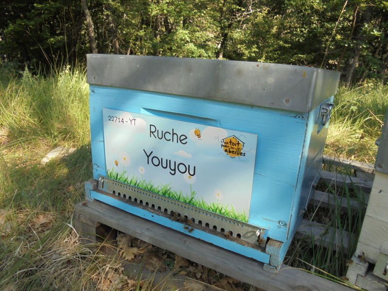 La ruche Youyou