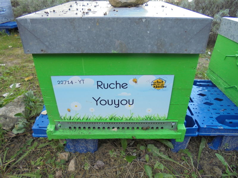 La ruche Youyou