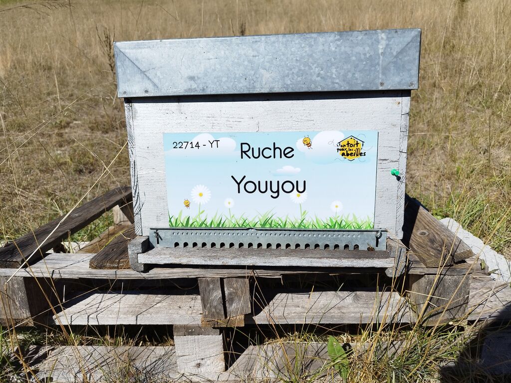La ruche Youyou