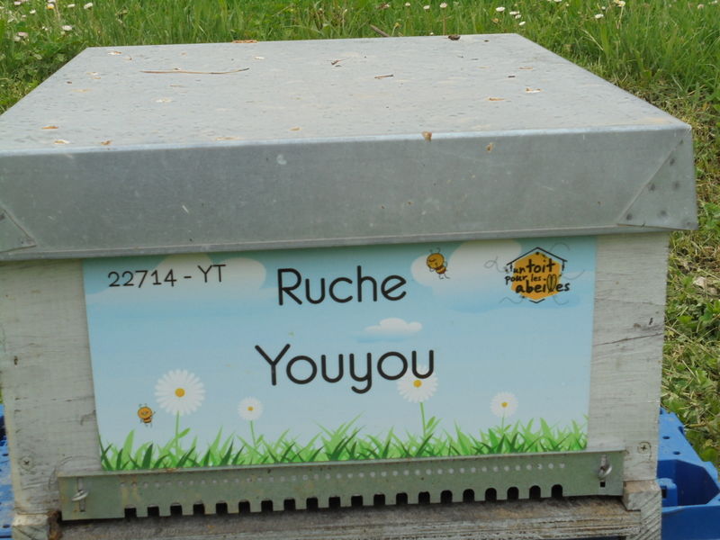 La ruche Youyou