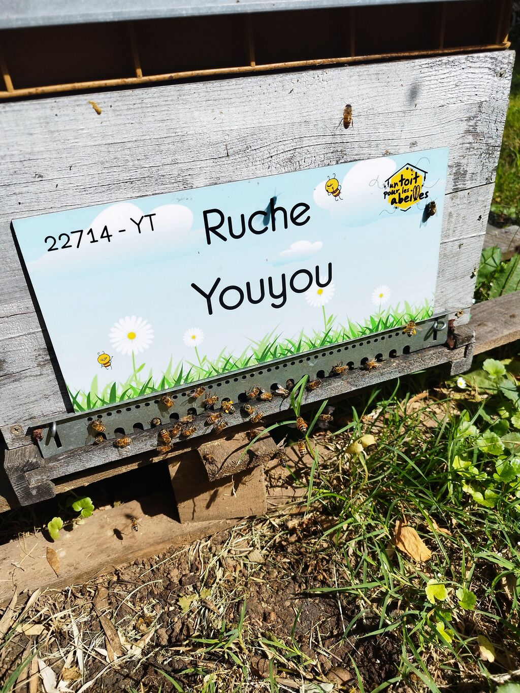 La ruche Youyou