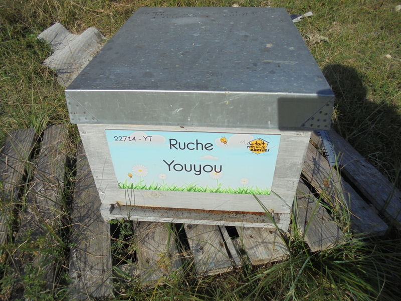 La ruche Youyou