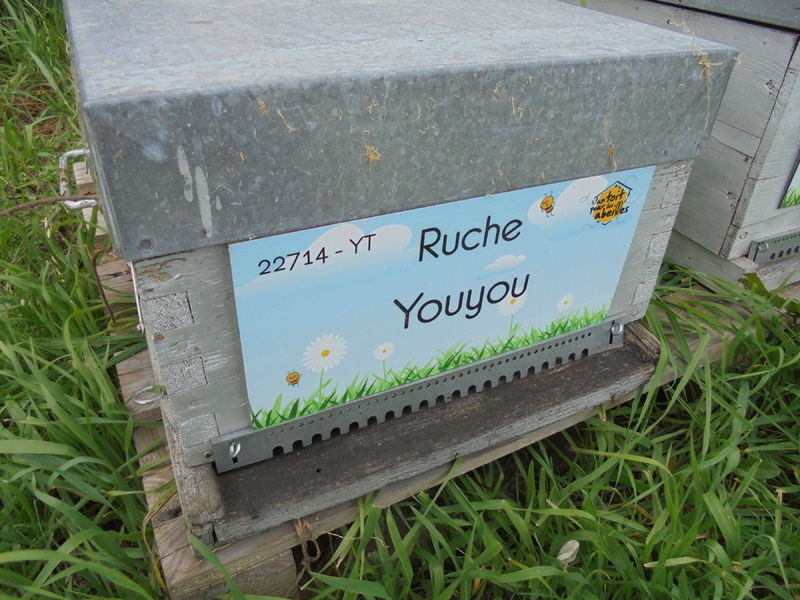 La ruche Youyou