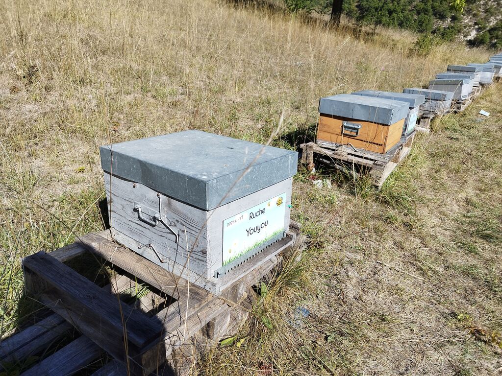 La ruche Youyou