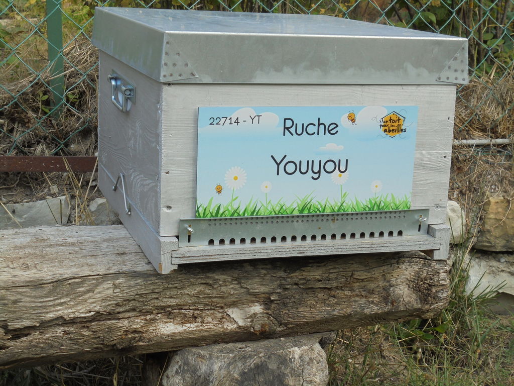 La ruche Youyou