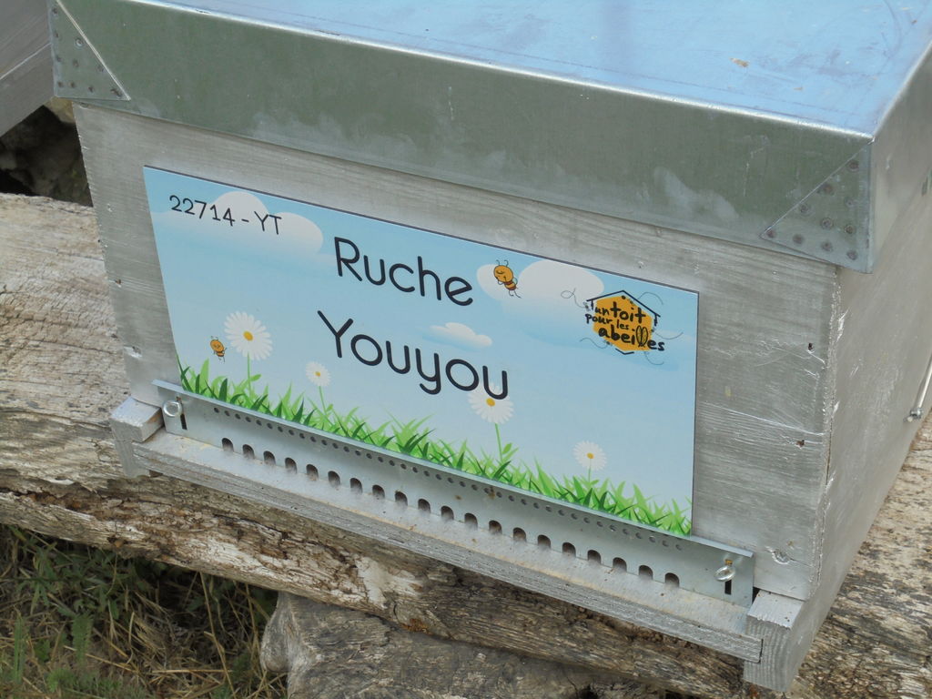 La ruche Youyou