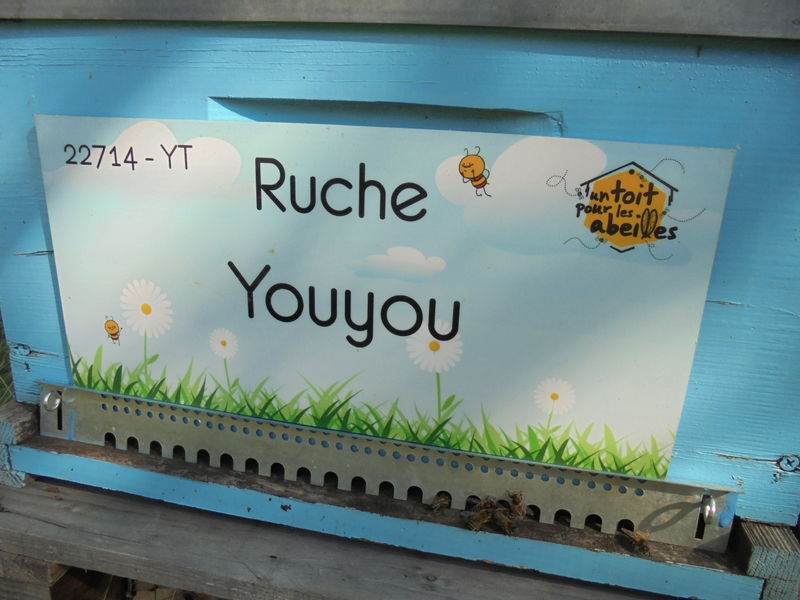 La ruche Youyou