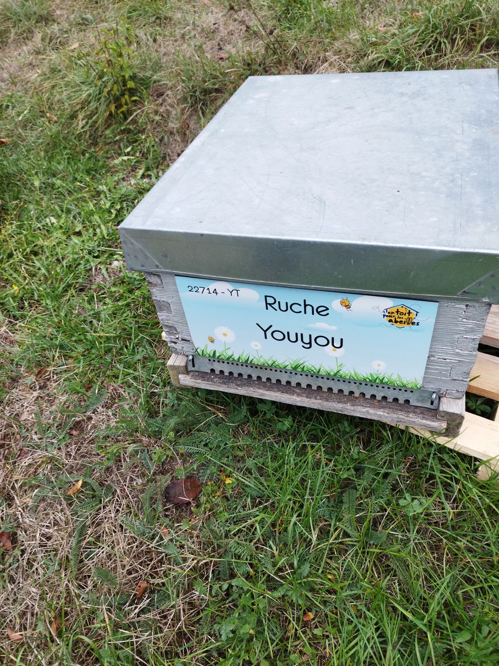 La ruche Youyou