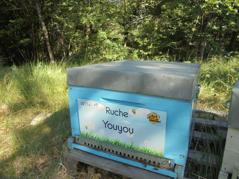 La ruche Youyou