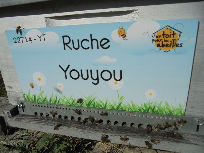 La ruche Youyou