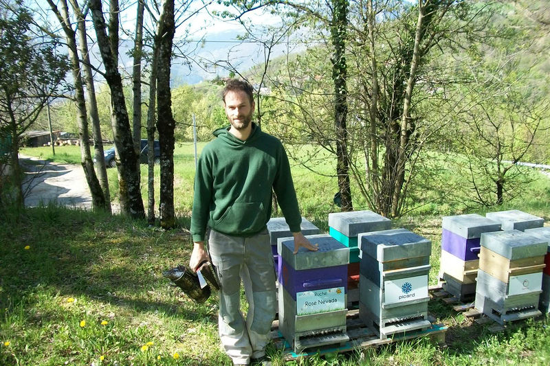 La ruche Rose Nevada