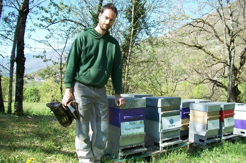 La ruche Rose Nevada