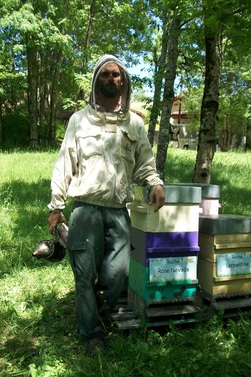 La ruche Rose Nevada