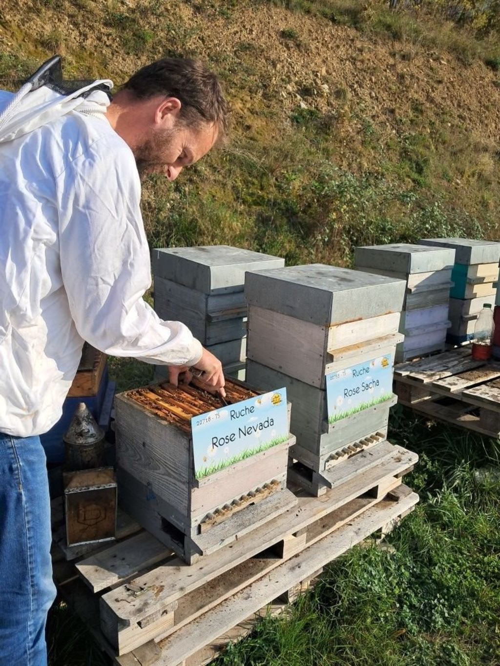 La ruche Rose Nevada