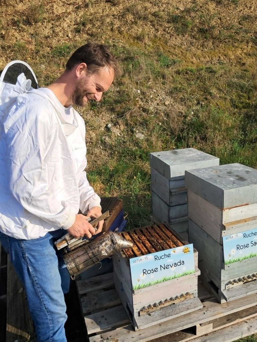 La ruche Rose Nevada