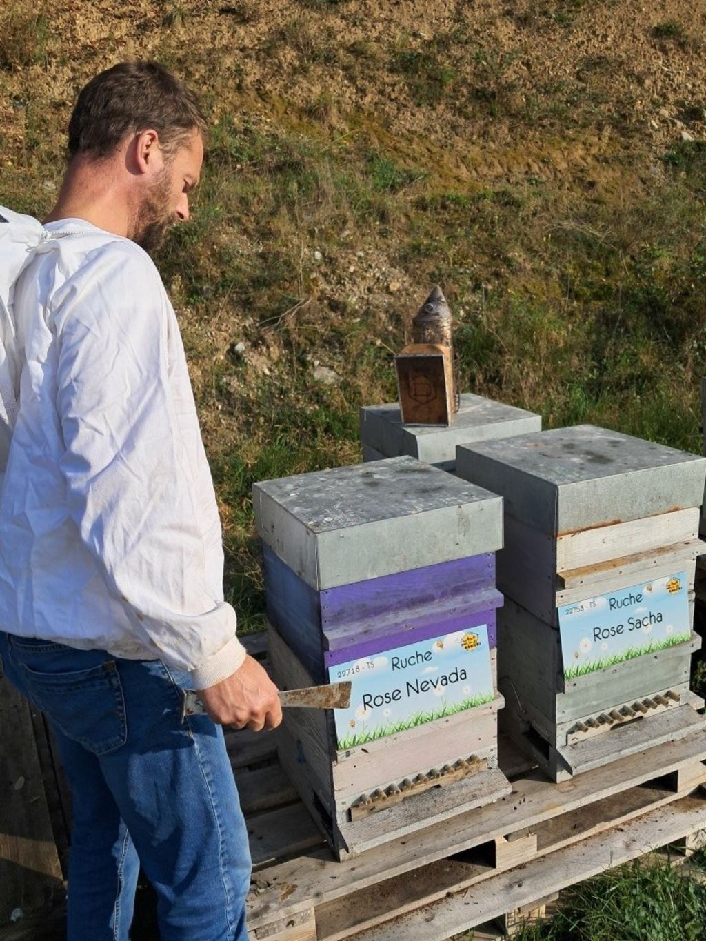 La ruche Rose Nevada