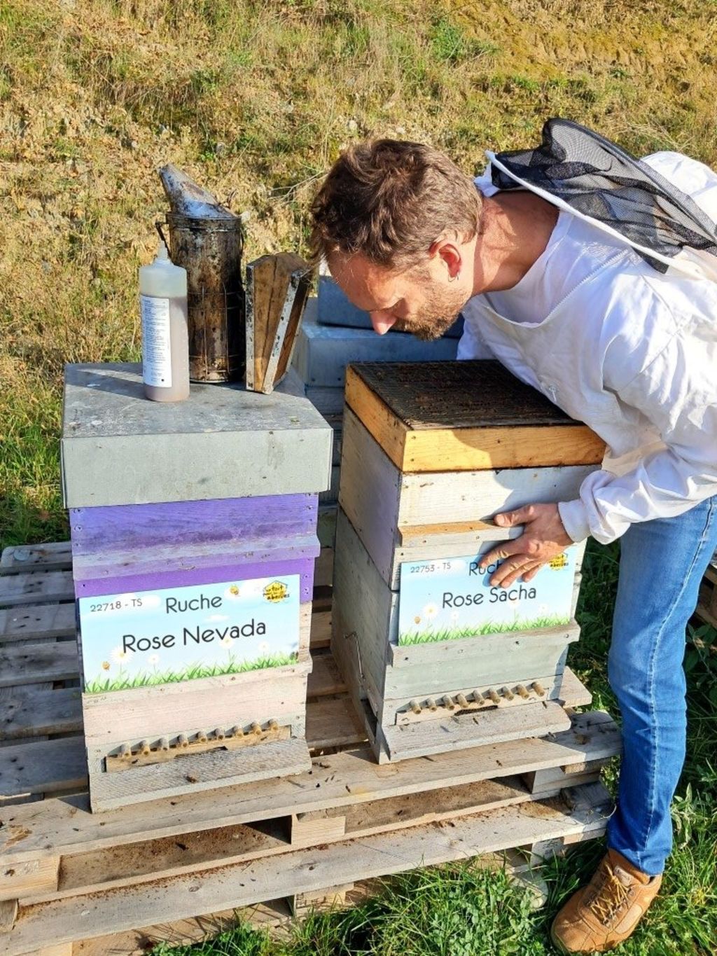 La ruche Rose Nevada