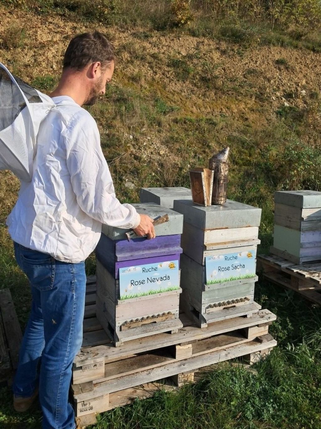 La ruche Rose Nevada