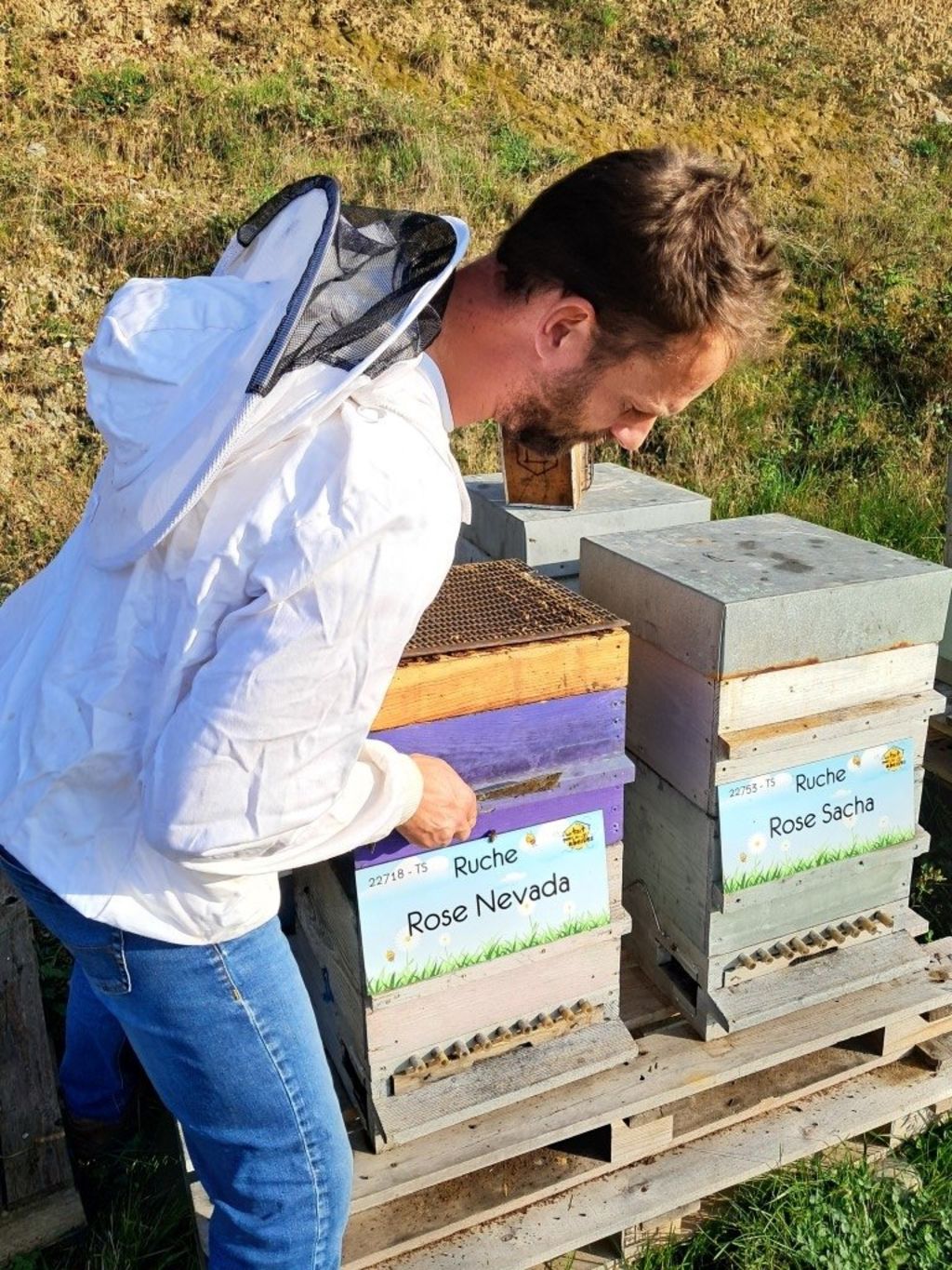 La ruche Rose Nevada