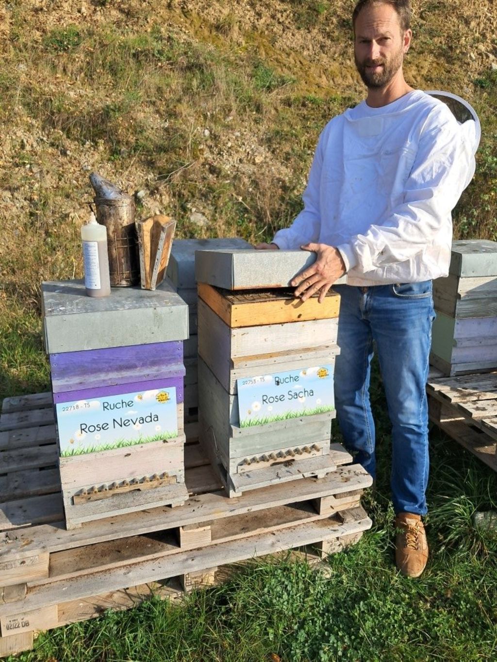 La ruche Rose Nevada