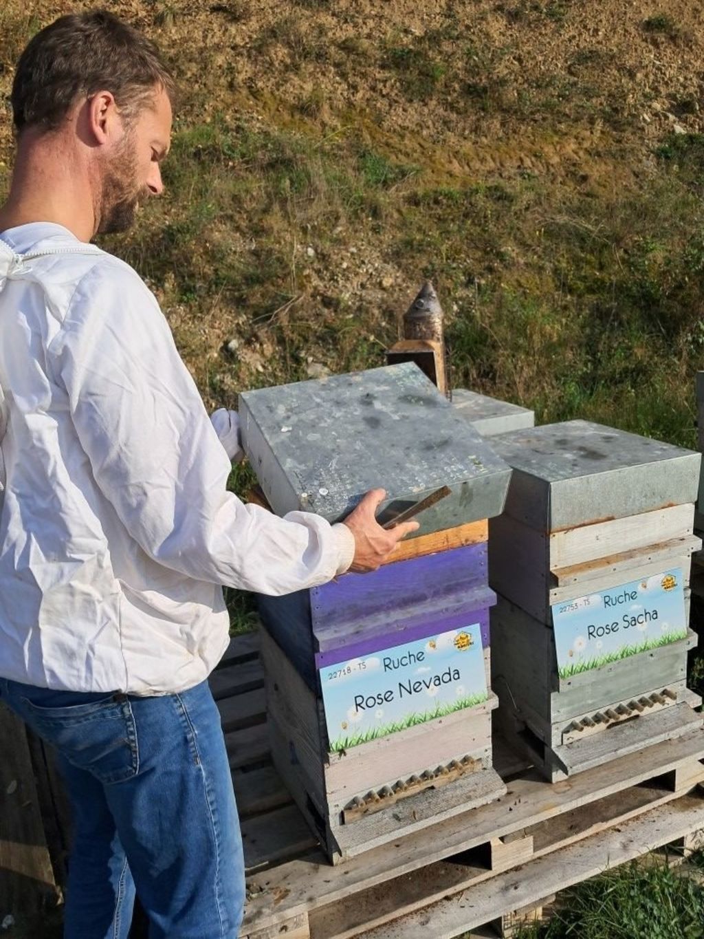 La ruche Rose Nevada