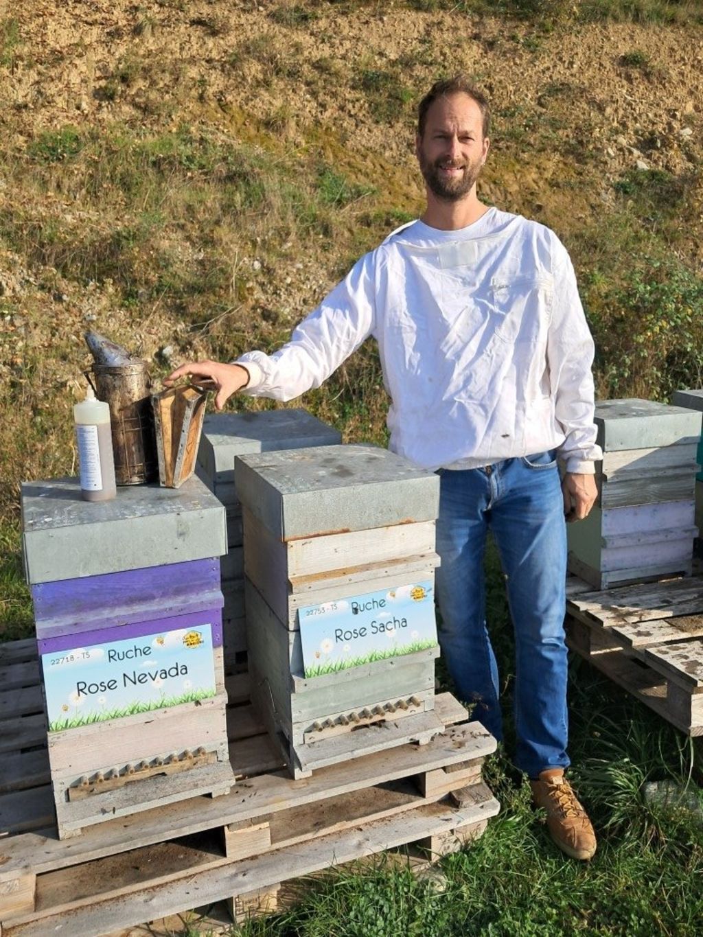 La ruche Rose Nevada