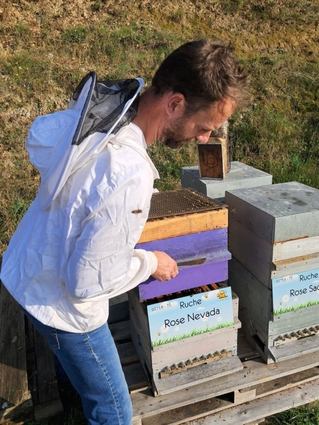 La ruche Rose Nevada