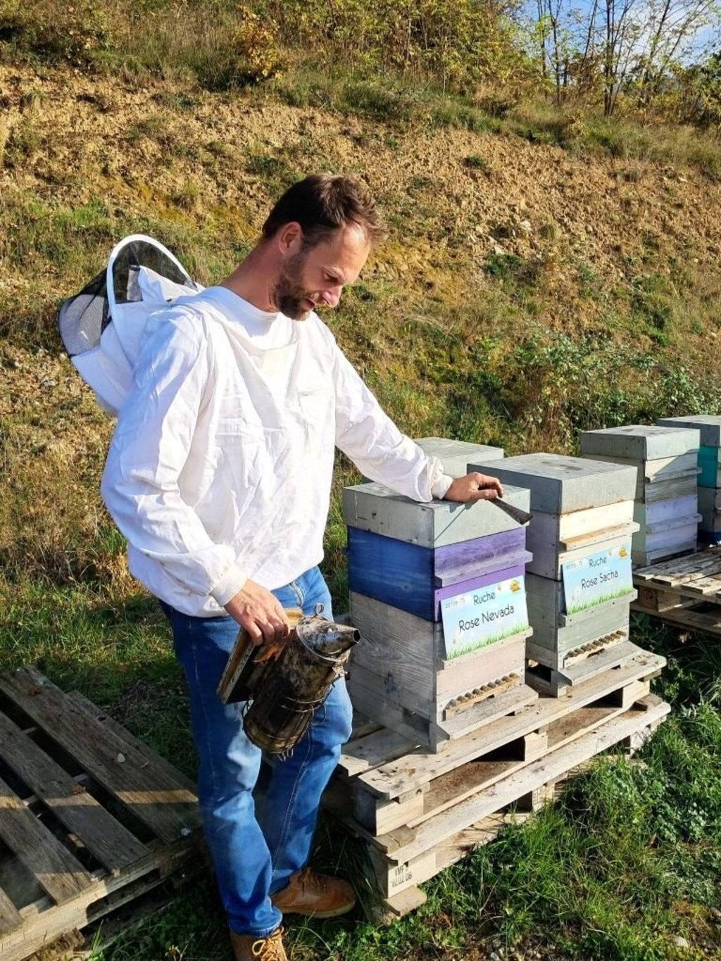 La ruche Rose Nevada