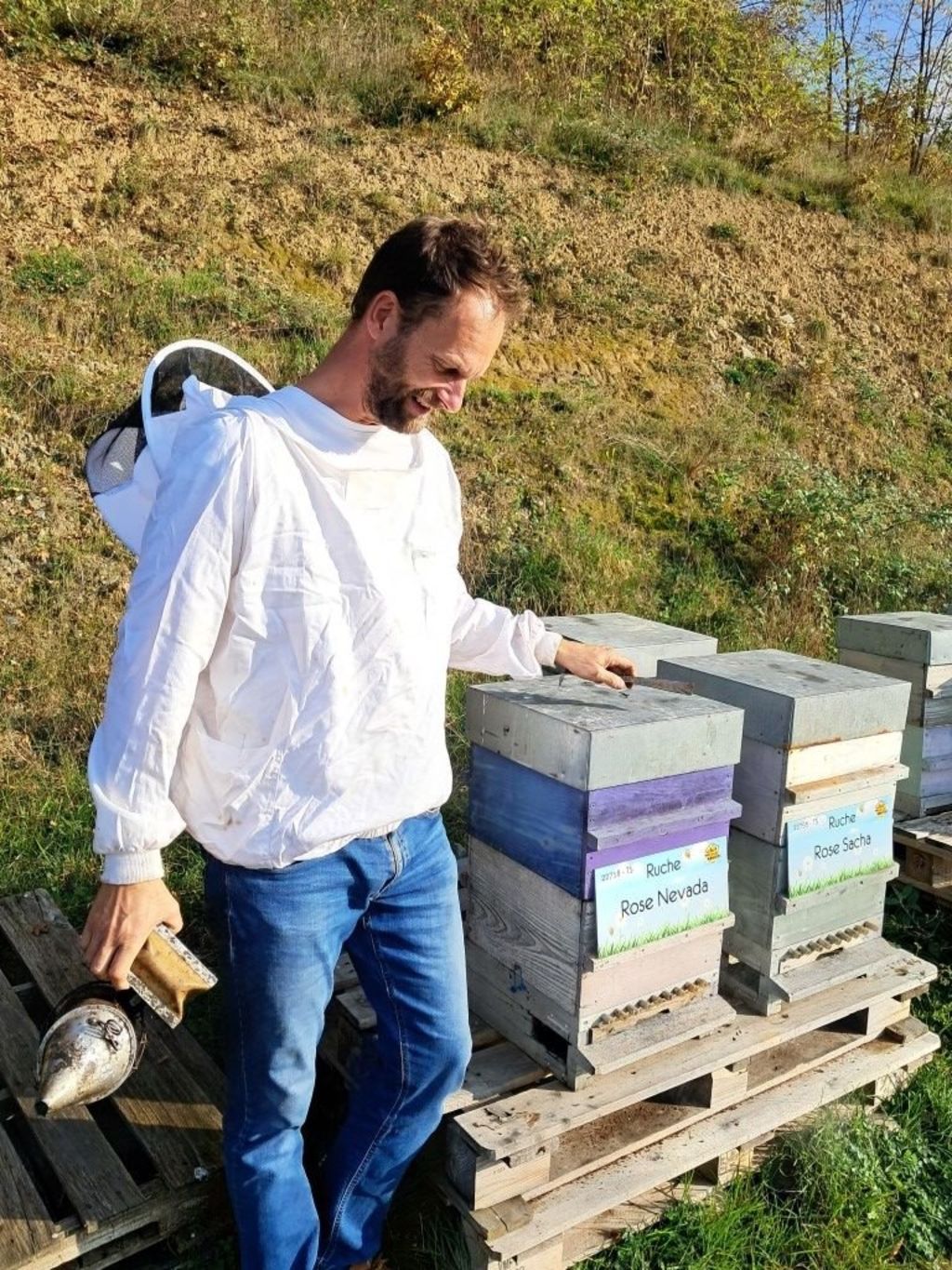 La ruche Rose Nevada