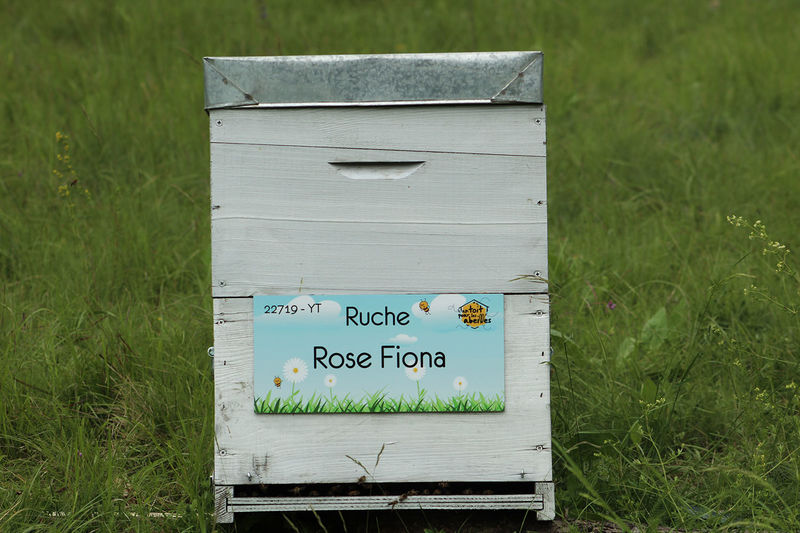 La ruche Rose Fiona