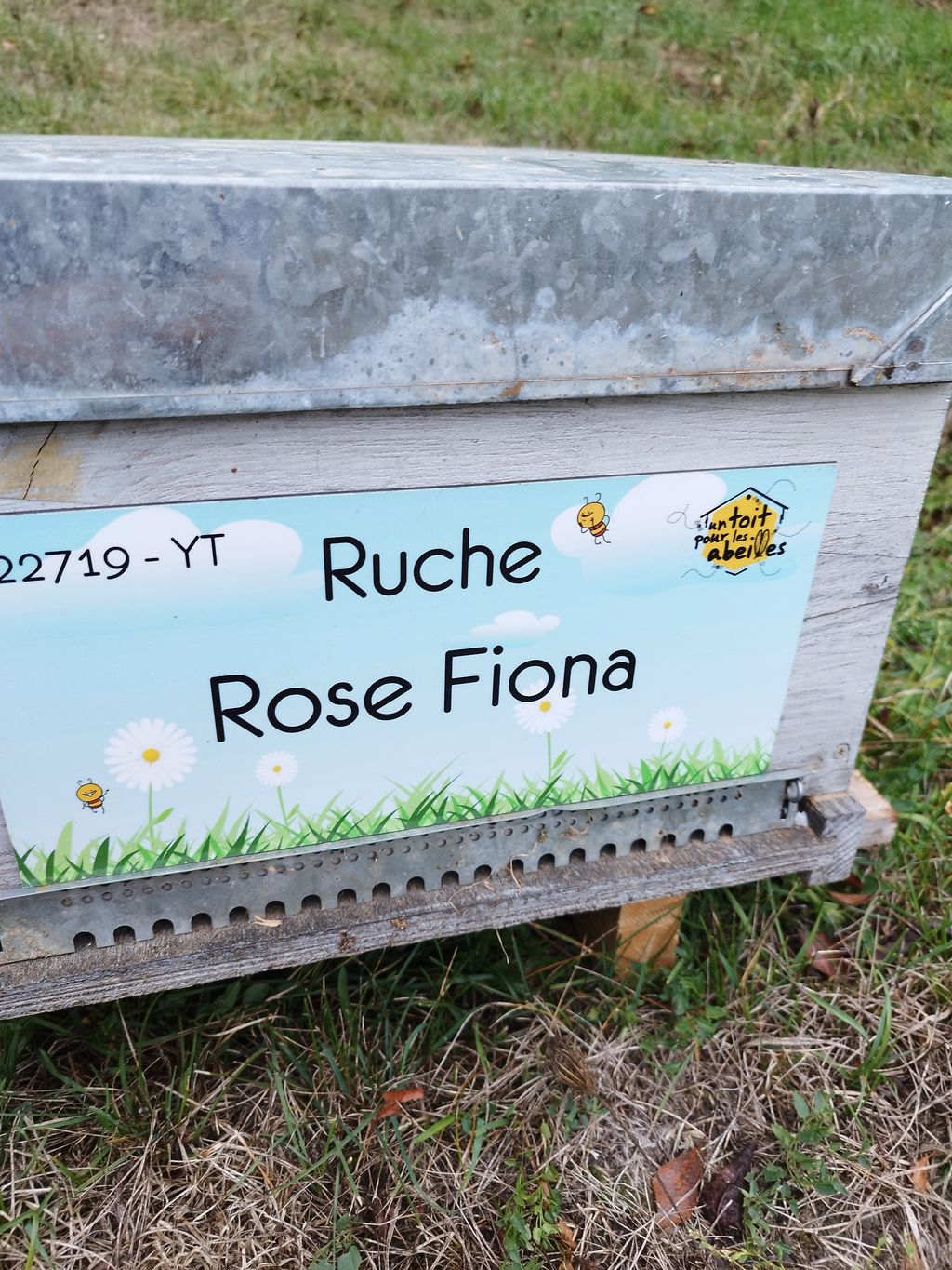La ruche Rose Fiona