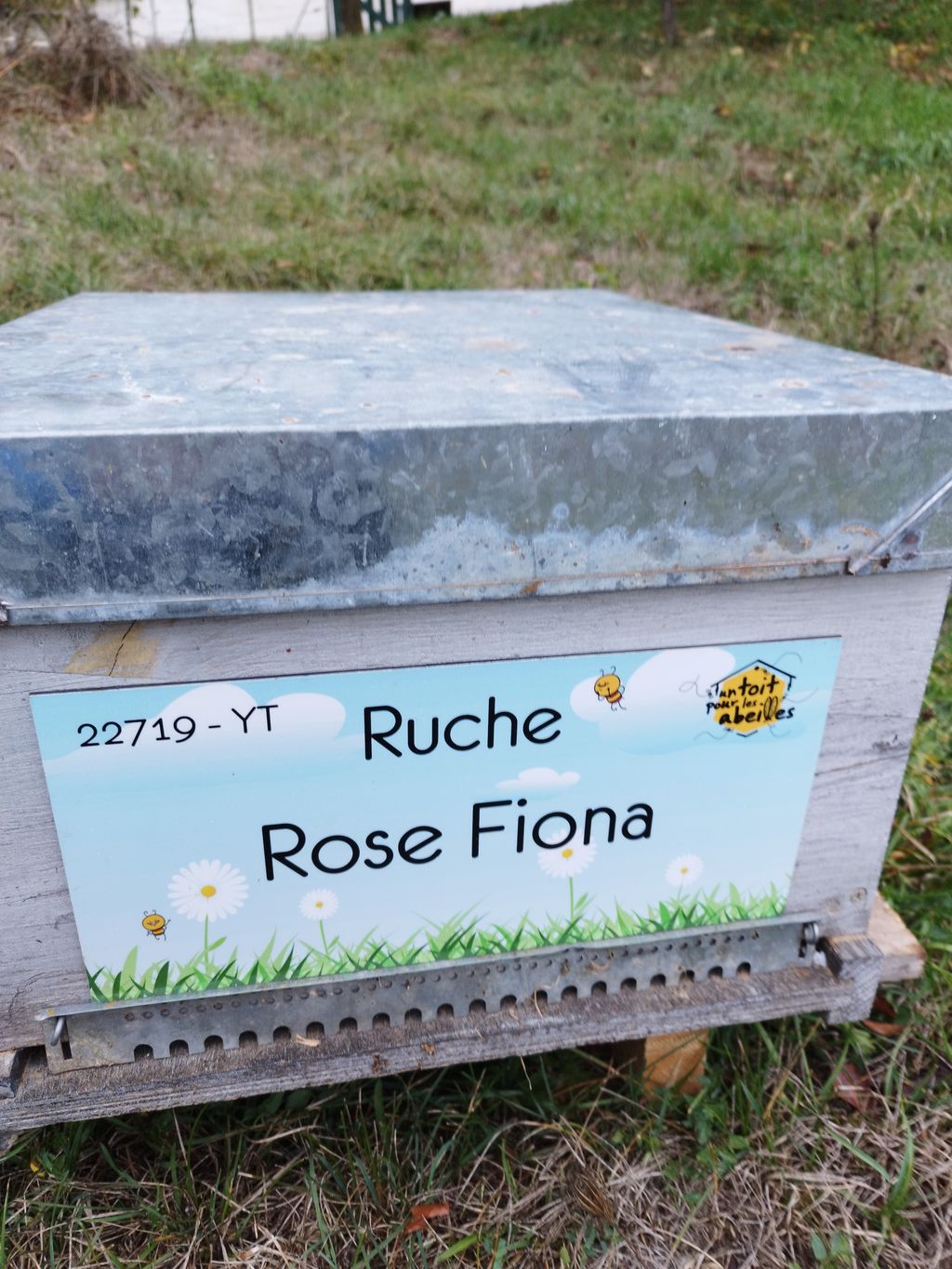 La ruche Rose Fiona