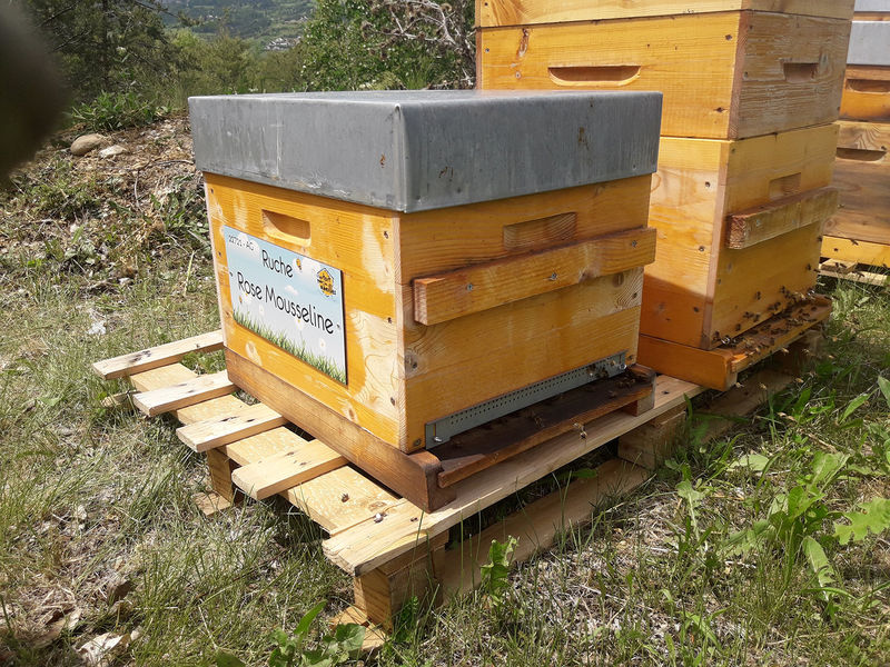 La ruche Rose Mousseline